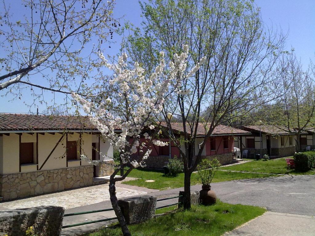 Camping Al-Bereka La Alberca  Quarto foto
